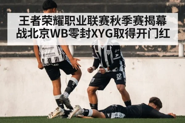 王者荣耀职业联赛秋季赛揭幕战北京WB零封XYG取得开门红