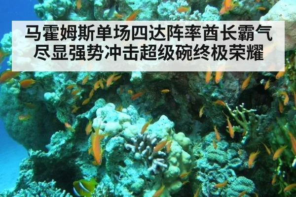 马霍姆斯单场四达阵率酋长霸气尽显强势冲击超级碗终极荣耀