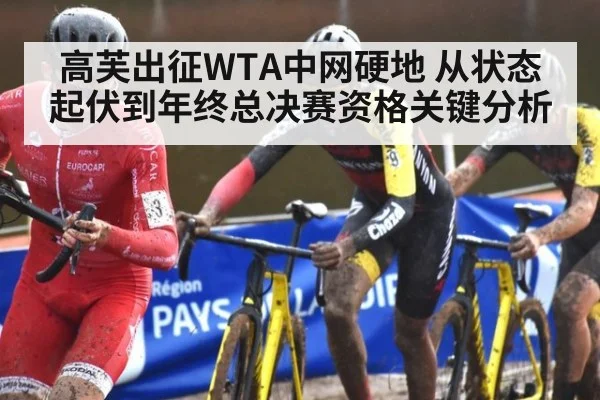 高芙出征WTA中网硬地 从状态起伏到年终总决赛资格关键分析
